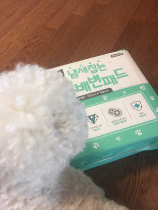 김승희님이 올린 리뷰 사진 3