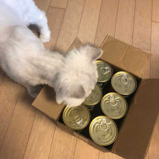 댕구알님이 올린 리뷰 사진 2