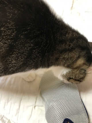 김화안님이 올린 리뷰 사진 3