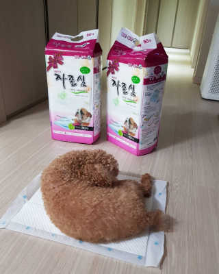 narae님이 올린 리뷰 사진 3