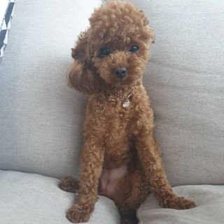 지수님이 올린 리뷰 사진 3