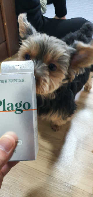 뎅님이 올린 리뷰 사진 1