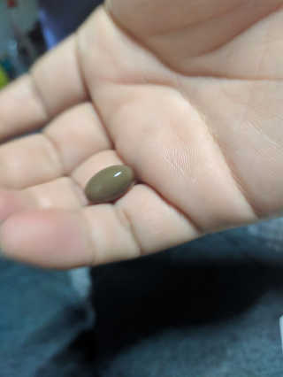 오리지널님이 올린 리뷰 사진 3