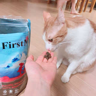 은지님이 올린 리뷰 사진 2
