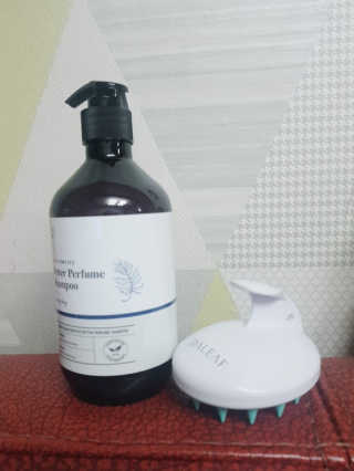 달리프 베러 퍼퓸 샴푸 1000ml 레이니데이 or 일랑로즈 — 5점을 준 리뷰어가 2020년 1월 올린 사용 사진