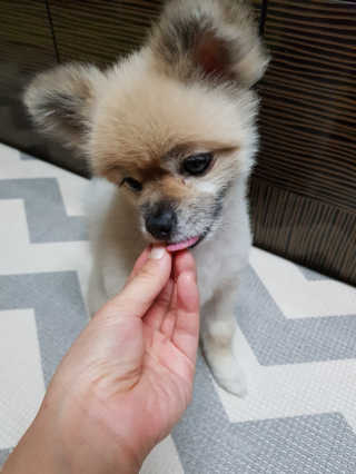 레고사줘님이 올린 리뷰 사진 4