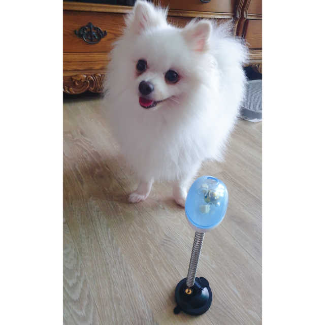 옥희독희 스윙토이 리뷰 사진