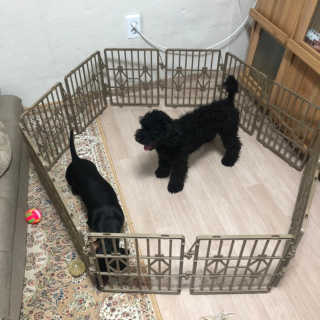 멍이냥이님이 올린 리뷰 사진 1