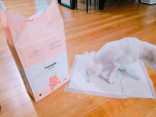 YouReena님이 올린 리뷰 사진 3