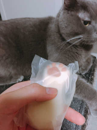 정윤주님이 올린 리뷰 사진 3