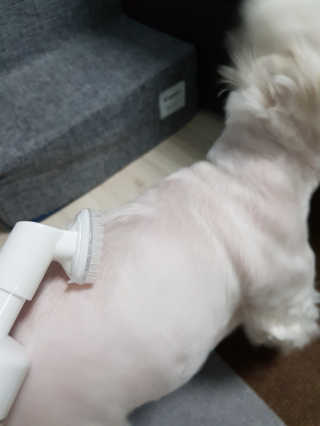 나란여자🤦‍♀️🤷‍♀️💁‍♀️님이 올린 리뷰 사진 4