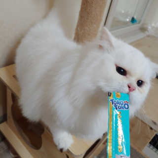 박지선님이 올린 리뷰 사진 1