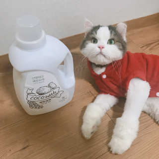 눌222님이 올린 리뷰 사진 1