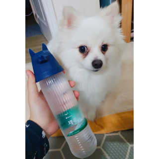 심쿵해에님이 올린 리뷰 사진 1