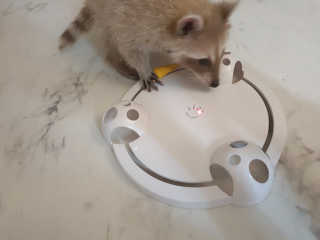 김이설님이 올린 리뷰 사진 1