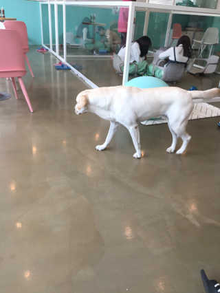 요조숙녀님이 올린 리뷰 사진 2