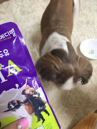 니니언니님이 올린 리뷰 사진 2