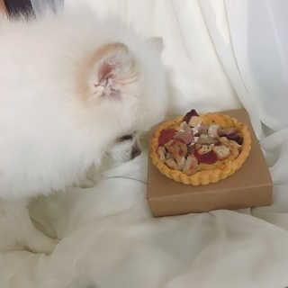 요지님이 올린 리뷰 사진 2