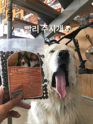 조언니님이 올린 리뷰 사진 2