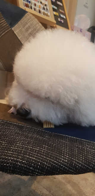쏭님이 올린 리뷰 사진 3
