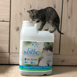 예진님이 올린 리뷰 사진 2