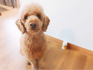 초코청크님이 올린 리뷰 사진 1