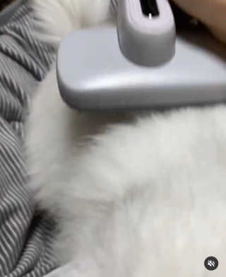 융융이님이 올린 리뷰 사진 4