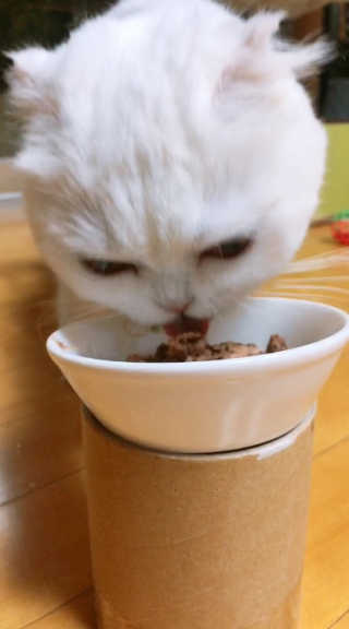 Dragonzoo님이 올린 리뷰 사진 1