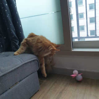 춘몽님이 올린 리뷰 사진 3