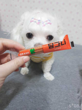 두부님이 올린 리뷰 사진 3