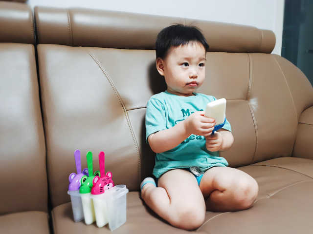동물원 아이스 팝트레이 리뷰 사진