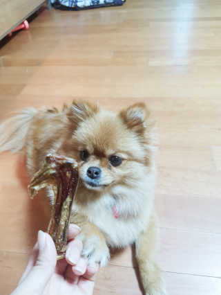 YulaKim님이 올린 리뷰 사진 2