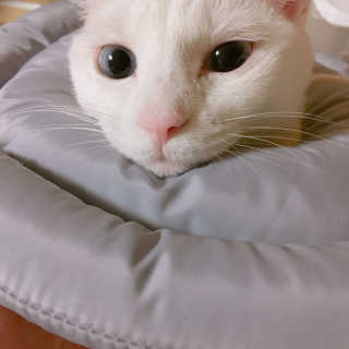 이은지님이 올린 리뷰 사진 1