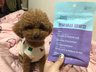푸디웜 주식회사 [푸디웜] 강아지 저알러지 수제간식 3종세트 — 5점을 준 리뷰어가 2018년 11월 올린 사용 사진