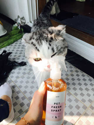 민꾜님이 올린 리뷰 사진 4