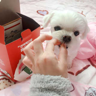 니코니코니님이 올린 리뷰 사진 3