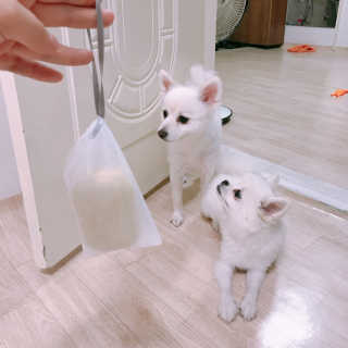 하이내처 해피샴푸바 — 4.5점을 준 리뷰어가 2019년 6월 올린 사용 사진