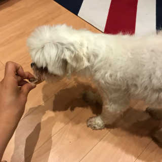 연쥬연쥬님이 올린 리뷰 사진 2