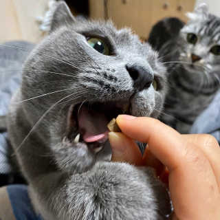 융융이님이 올린 리뷰 사진 2