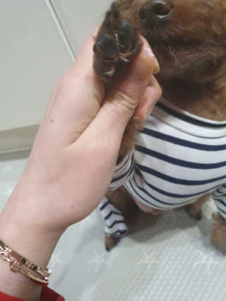 란이님이 올린 리뷰 사진 3