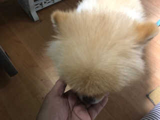 슬기로운공팔생활님이 올린 리뷰 사진 4