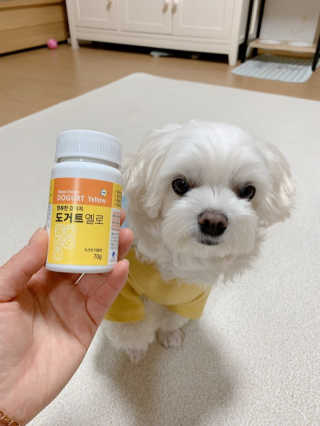 정애리님이 올린 리뷰 사진 1