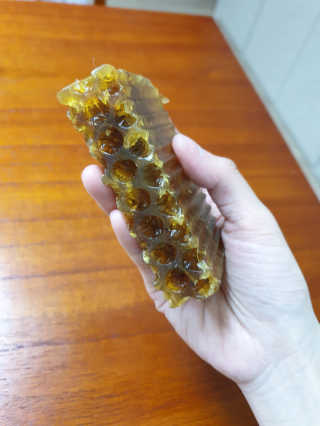 소영님이 올린 리뷰 사진 1