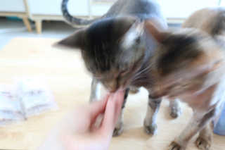 해롱님이 올린 리뷰 사진 1