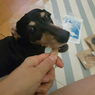 나도써볼래님이 올린 리뷰 사진 2