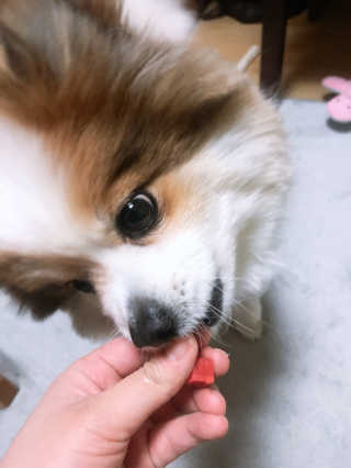 YiseulJeon님이 올린 리뷰 사진 2
