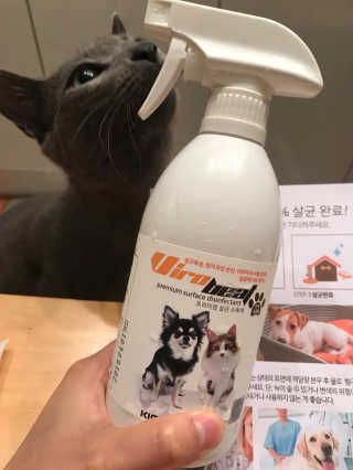 pure님이 올린 리뷰 사진 2