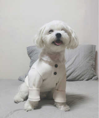 유진님이 올린 리뷰 사진 1