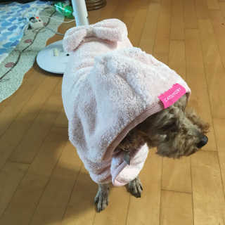 민정님이 올린 리뷰 사진 2
