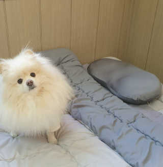 치리짱님이 올린 리뷰 사진 2
